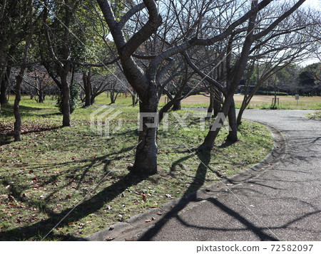 A park 5 minutes from the station Seishin Central Park Park A park 5 minutes from the station Seishin Central Park Park 72582097