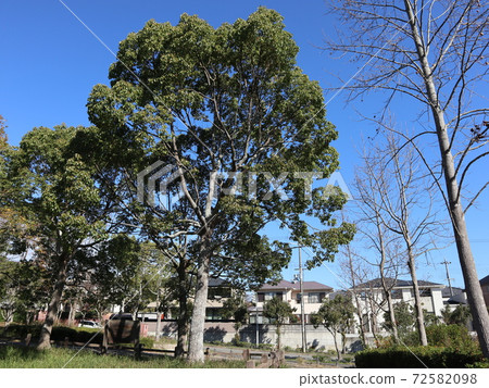 A park 5 minutes from the station Seishin Central Park Park 72582098