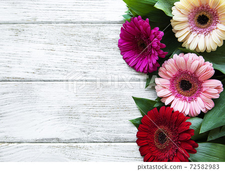 Bright gerbera flowers on a white wooden background. 72582983