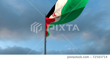 3d rendering of the national flag of the Sahrawi Arab 72583714