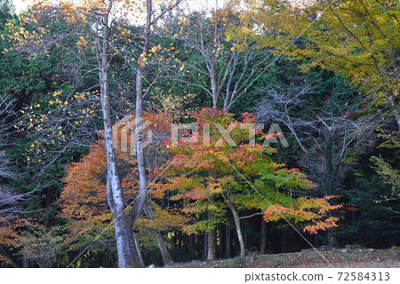Autumn Yamagata Aritomo Memorial Hall # 90 Autumn Yamagata Aritomo Memorial Hall # 90 72584313
