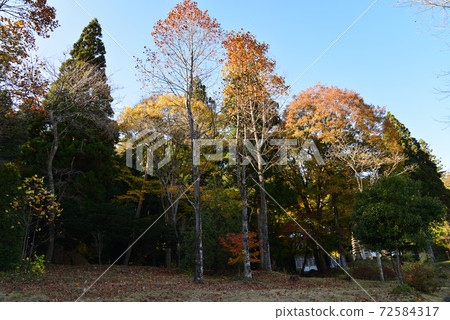 秋季山形有田紀念館#87 秋季山形有田紀念館#87 72584317