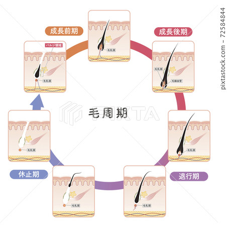 女生 女孩 女性 72584844