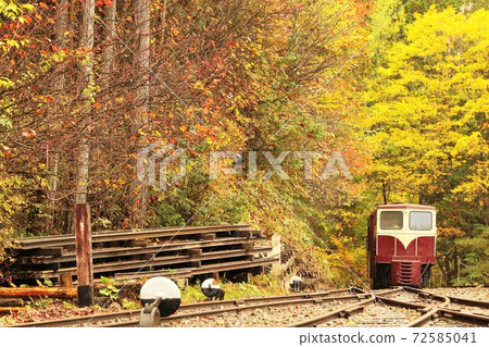 赤澤森林鐵路(木曾森林鐵路)Bo柏忌柴油車專項運營 赤澤森林鐵路(木曾森林鐵路)Bo柏忌柴油車專項運營 72585041