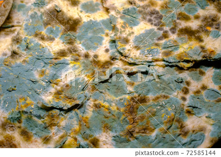 Stone covered with various mildew Stone covered with various mildew 72585144