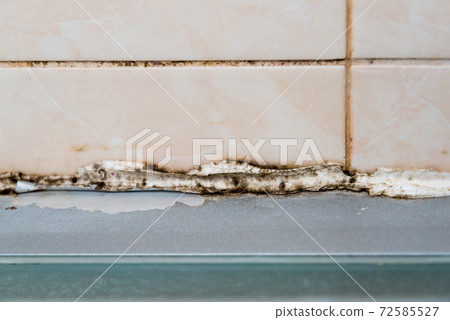 the silicone sealer is mildewed. Mold in the shower stall. Dampness and humidity the silicone sealer is mildewed. Mold in the shower stall. Dampness and humidity 72585527
