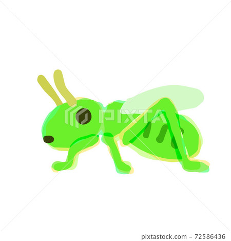 Illustration of Grasshopper. Hand drawn vector illustration. Cute Illustrations For Kids Illustration of Grasshopper. Hand drawn vector illustration. Cute Illustrations For Kids 72586436