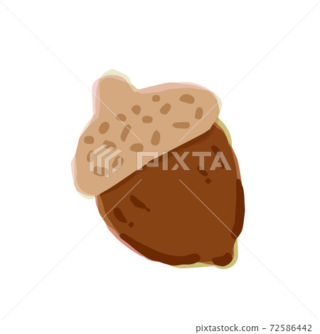 Illustration of Acorn. Hand drawn vector illustration. Cute Illustrations For Kids 72586442
