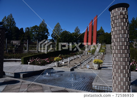 Autumn rose park 72586910