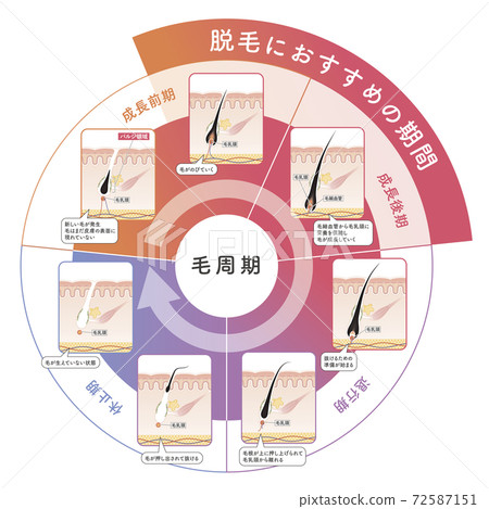 全身 通體 全體 72587151