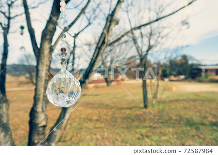 太陽捕手掛在樹上[安mino野千尋公園] 72587984