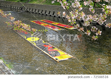 Sakura and Gojo River Cherry blossoms on the Gojo River Row of cherry blossom trees (Gojo River, Iwakura City) 72588516