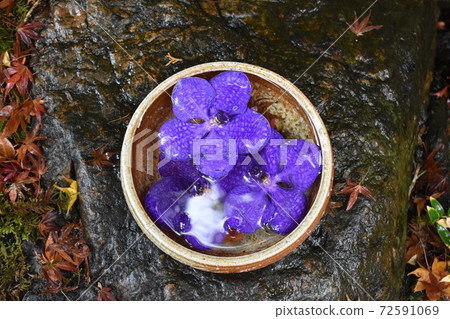 Hand bowl Hand bowl 72591069