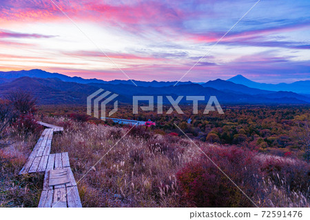 [Yamanashi Prefecture] Mt. Fuji seen from Yatsugatake and beautiful forest in autumn at dawn 72591476