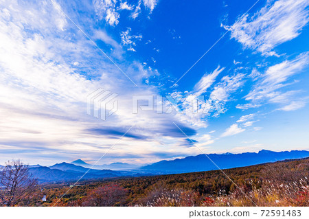 [Yamanashi Prefecture] Mt. Fuji seen from Yatsugatake and beautiful forest in autumn at dawn 72591483