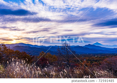 [Yamanashi Prefecture] Mt. Fuji seen from Yatsugatake and beautiful forest in autumn at dawn 72591485