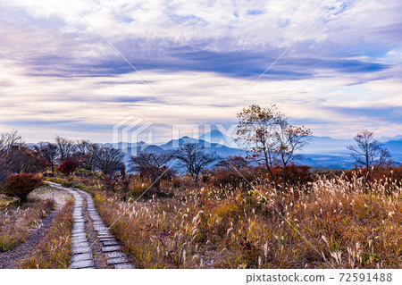 [Yamanashi Prefecture] Mt. Fuji seen from Yatsugatake and beautiful forest in autumn at dawn 72591488