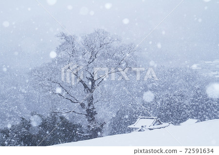 Snow no Sato 72591634