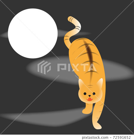 Tiger cat in Asian hanging scroll art 72591652