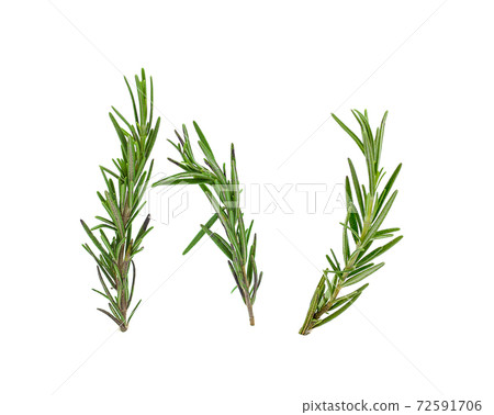 Fresh green sprigs of rosemary isolated on a white background 72591706