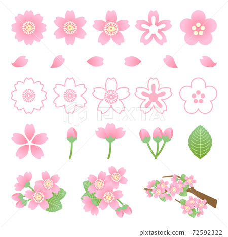 Sakura illustration material: Sakura illustration material 72592322