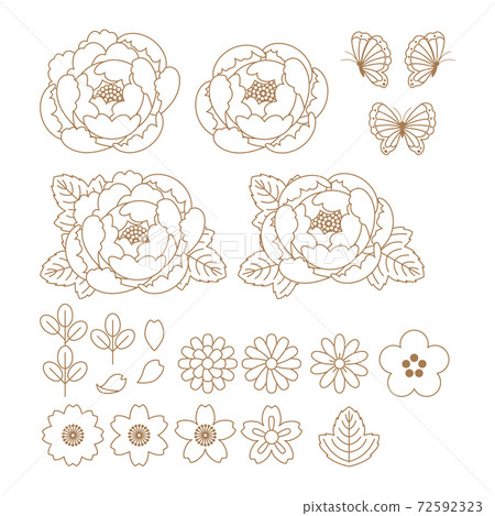 Peony illustration material: Peony illustration material 72592323