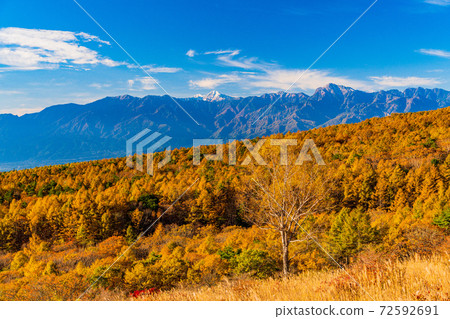 [山梨縣]南阿爾卑斯山的小高岳，秋天從八岳和比目森看 72592691