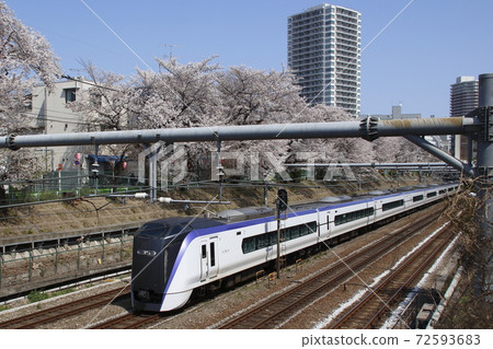 Chuo Line Limited Express Azusa / Kaiji, which goes through the rows of cherry blossom trees in Higashi-Nakano Chuo Line Limited Express Azusa / Kaiji, which goes through the rows of cherry blossom trees in Higashi-Nakano 72593683