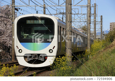 Seibu Shinjuku Line 30000 series (smile train) going through a row of cherry blossom trees Seibu Shinjuku Line 30000 series (smile train) going through a row of cherry blossom trees 72594906