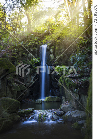 Naritasan Park Naritasan Park 72595076