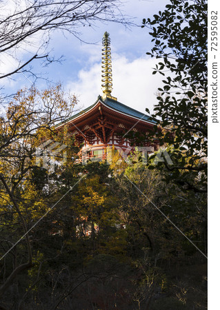 Naritasan Park Naritasan Park 72595082