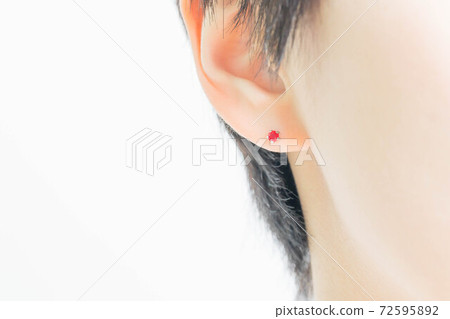少婦的耳朵[刺穿] 72595892