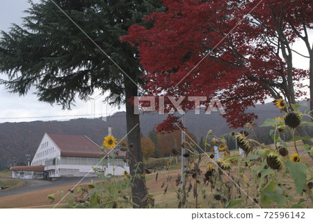 Maiko Kogen Echigo Yuzawa 72596142