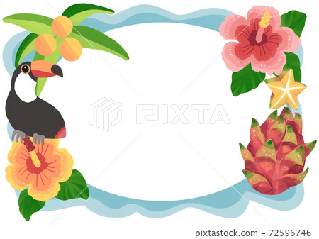 Tropical beach image frame Tropical beach image frame 72596746