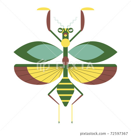 Praying Mantis Icon in Geometric Flat Style Praying Mantis Icon in Geometric Flat Style 72597367