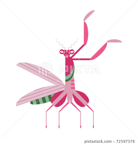 Praying Mantis Icon in Geometric Flat Style Praying Mantis Icon in Geometric Flat Style 72597378