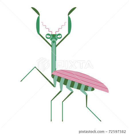 Praying Mantis Icon in Geometric Flat Style 72597382