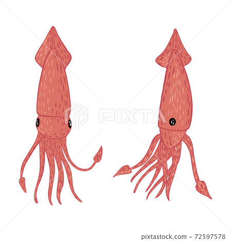 Set squid isolated on white background. Cartoon cute characters hand drawn design. 72597578