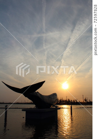 Whale sunset Whale sunset 72597828