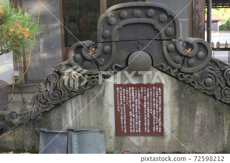 新潟椿 新潟椿 72598212