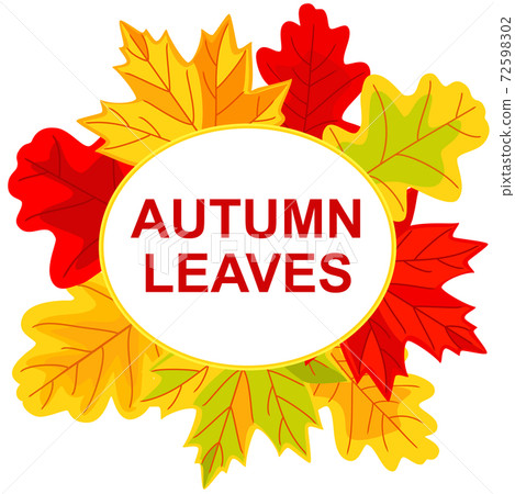 Colorful autumn oak leaves frame Colorful autumn oak leaves frame 72598302