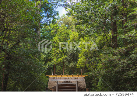 在森林裡的伊勢久保別宮Domiya神社 72599474