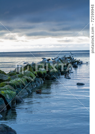 A beautiful sunset over the green boulders on a wave breaker. Photo from Hallevik, Blekinge, Sweden 72599948