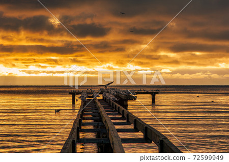 A beautiful golden sunset over an old boardwalk. Photo from Hallevik, Blekinge, Sweden 72599949