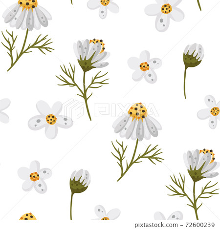 Seamless background with daisy flowers. 72600239