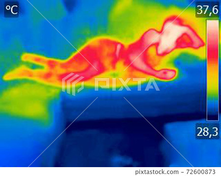 Thermal image Young woman is lying on the bed 72600873
