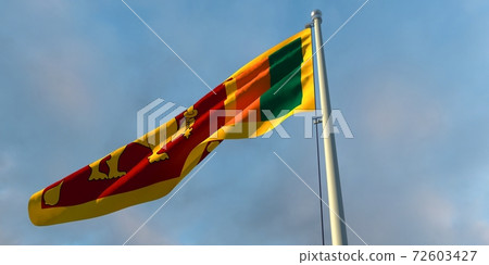 3d rendering of the national flag of the Sri Lanka 3d rendering of the national flag of the Sri Lanka 72603427