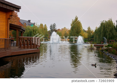 Park pond with fountains and ducks. Park pond with fountains and ducks. 72603909