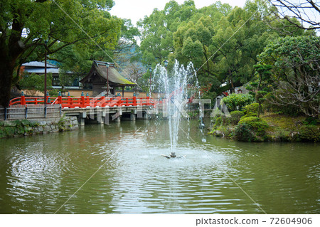 Shinji Pond Dazaifu Tenmangu Shrine 72604906