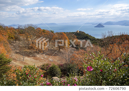 Ojigatake in Tamano City, Okayama Prefecture, saw Nico Nico Rock, autumn leaves, the Seto Inland Sea, and Seto Ohashi Bridge from the parking lot near the summit on a sunny day. 72606790